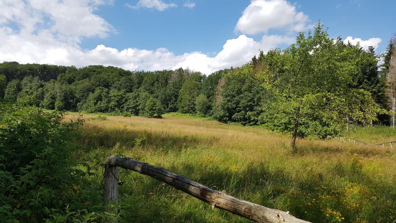 Schoener Weitblick Bad Sachsa Exterior foto